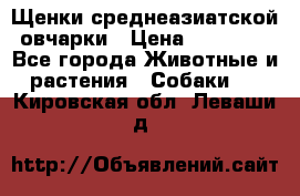 Щенки среднеазиатской овчарки › Цена ­ 20 000 - Все города Животные и растения » Собаки   . Кировская обл.,Леваши д.